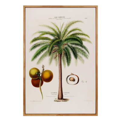 LE PALMIER GLOUGLOU ART PRINT