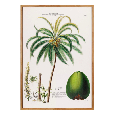 LE COCOTIER ART PRINT