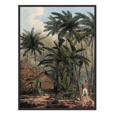 THE PLANTAIN TREE ART PRINT