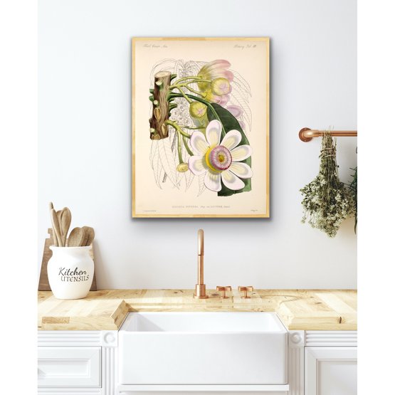 GUSTAVIA SUPERBA ART PRINT