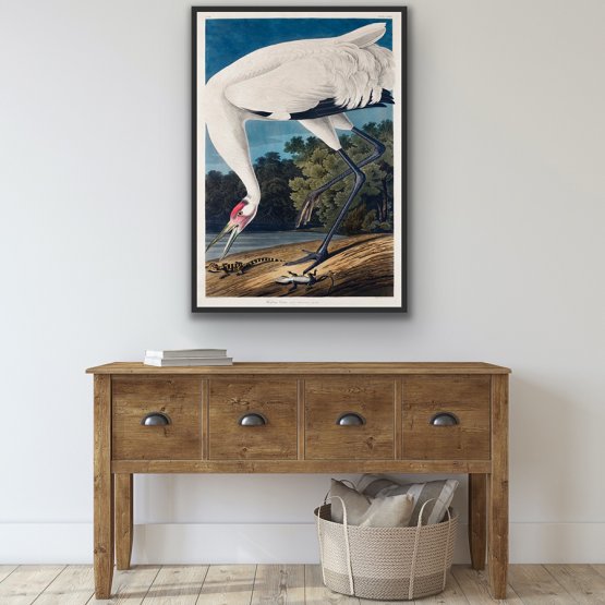 HOOPING CRANE AND LIZARD ART PRINT