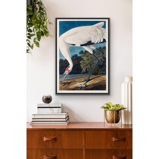 HOOPING CRANE AND LIZARD ART PRINT