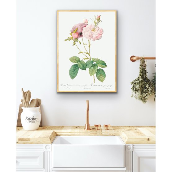 CELSIANA ROSE ART PRINT