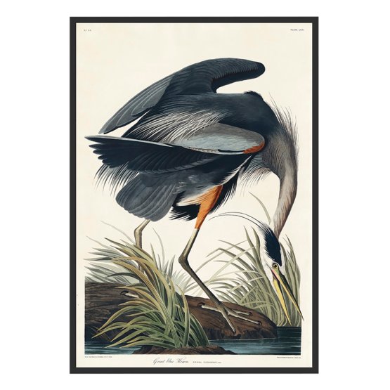 THE GREAT BLUE HERON ART PRINT