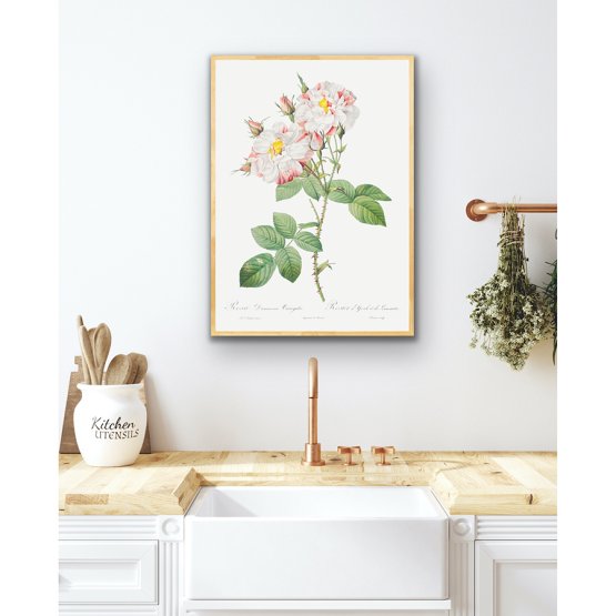 DAMASK ROSE ART PRINT