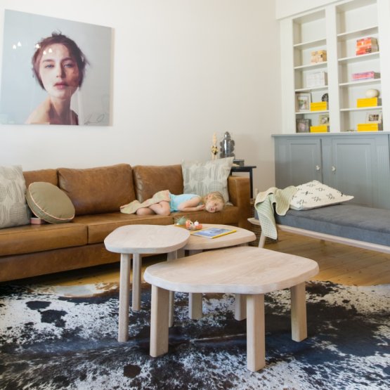 SETH NESTING COFFEE TABLE SET